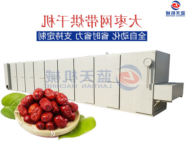 大枣网带烘干机